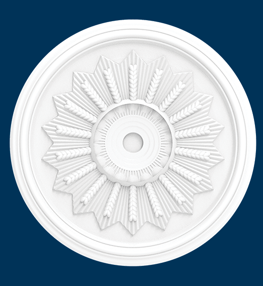 PG 504 B. BAŞAK GÖBEK	Ø 50 cm